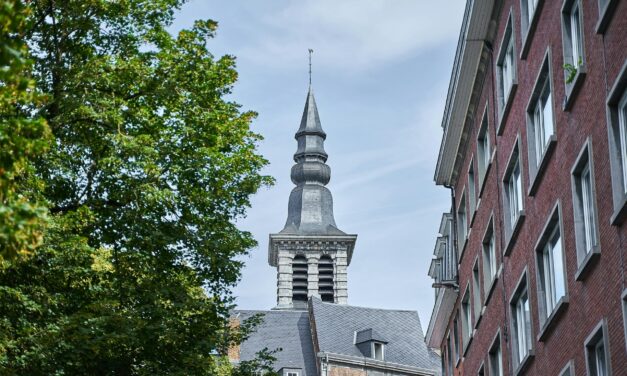 La maintenance des monuments historiques : un enjeu clé pour préserver le patrimoine de Namur