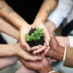 Des mains de différentes personnes tiennent ensemble une petite plante verte dans de la terre noire.