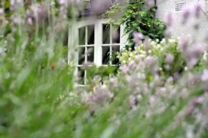 Fenêtre blanche encadrée de verdure avec des fleurs violettes floues au premier plan.
